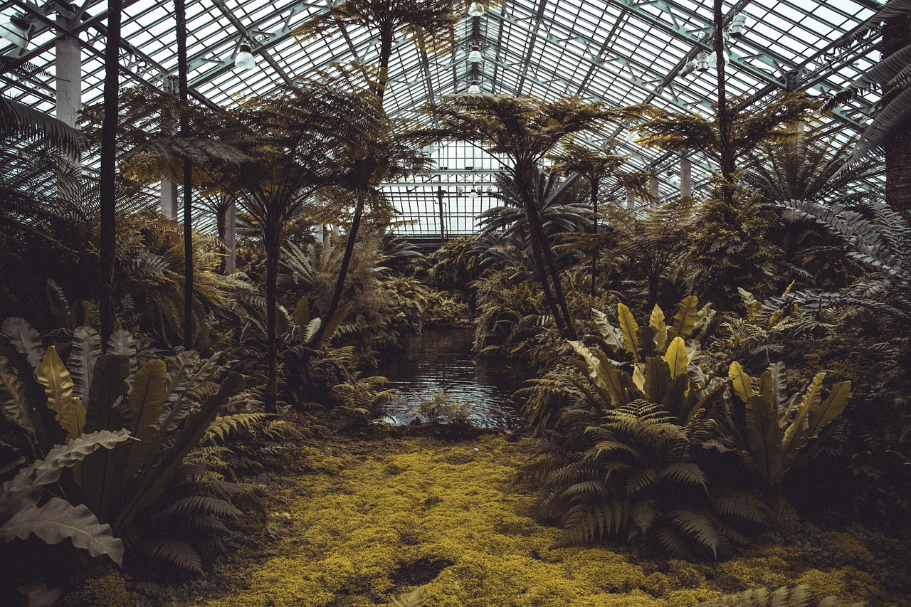 Entrer en relation avec le Botanique à Gand