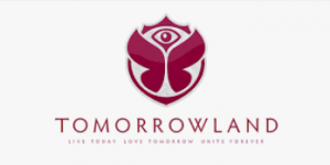 Entrer en relation avec le Festival Tomorrowland