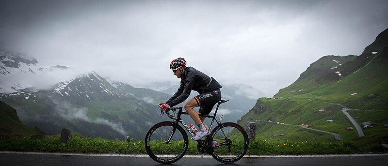 Entrer en contact avec Tim Wellens