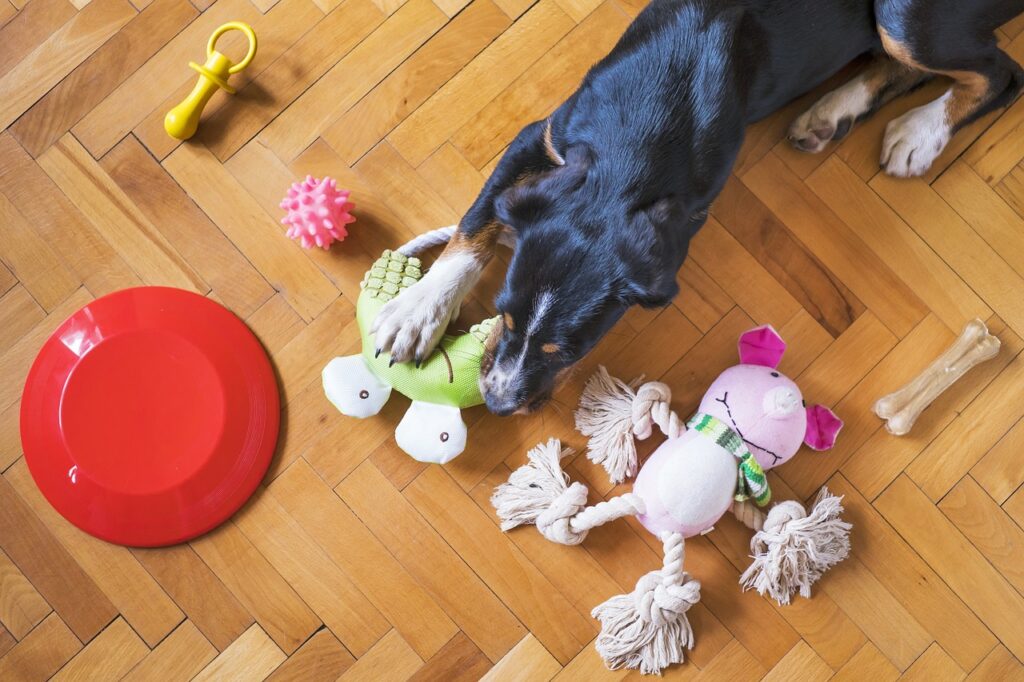 Entrer en relation avec le service client E-commerce pour des acteurs essentiels  du secteur  des jouets pour animaux en Belgique