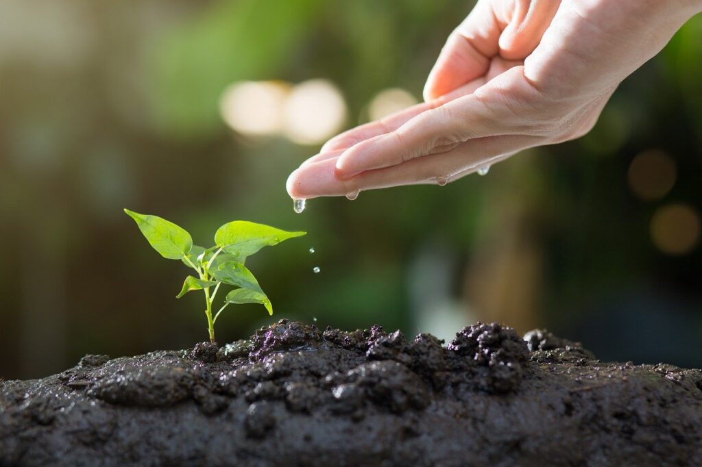 Entrer en communication avec le service client E-commerce pour des acteurs essentiels du secteur du  jardinage écologique
 en Belgique