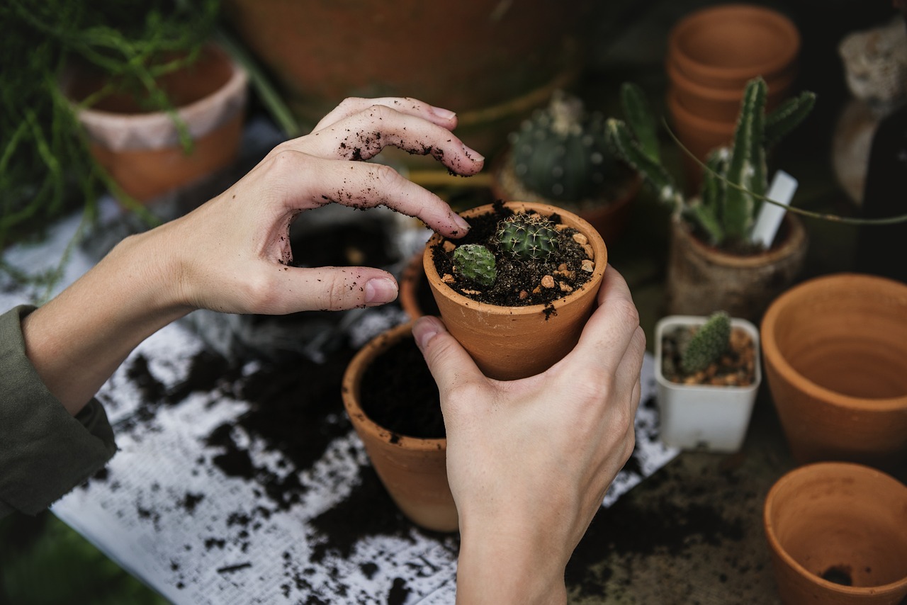 Joindre le service client E-commerce pour des acteurs essentiels du secteur du jardinage écologique en Belgique